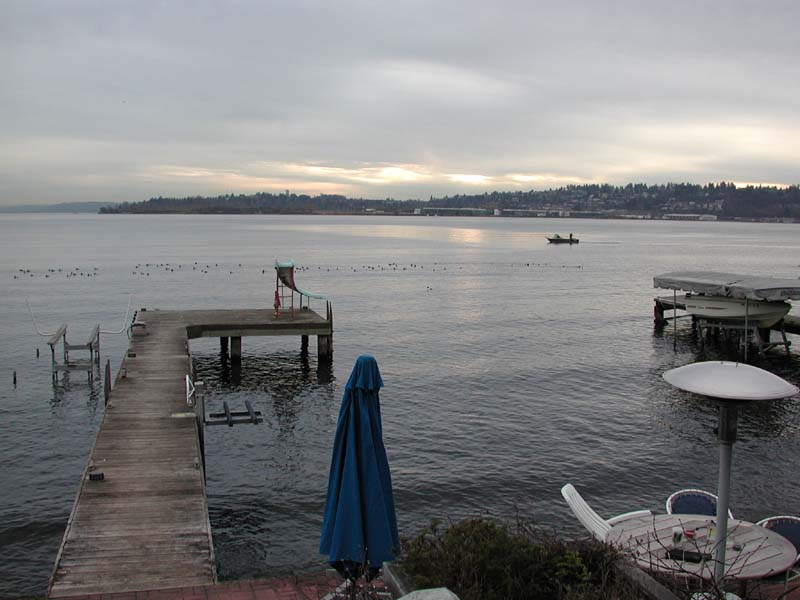 Lake scene-diving ducks and fishing boat.jpg 61.0K